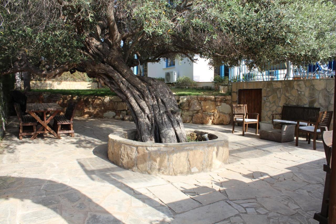 Olive Beach Villa ペイヤ エクステリア 写真