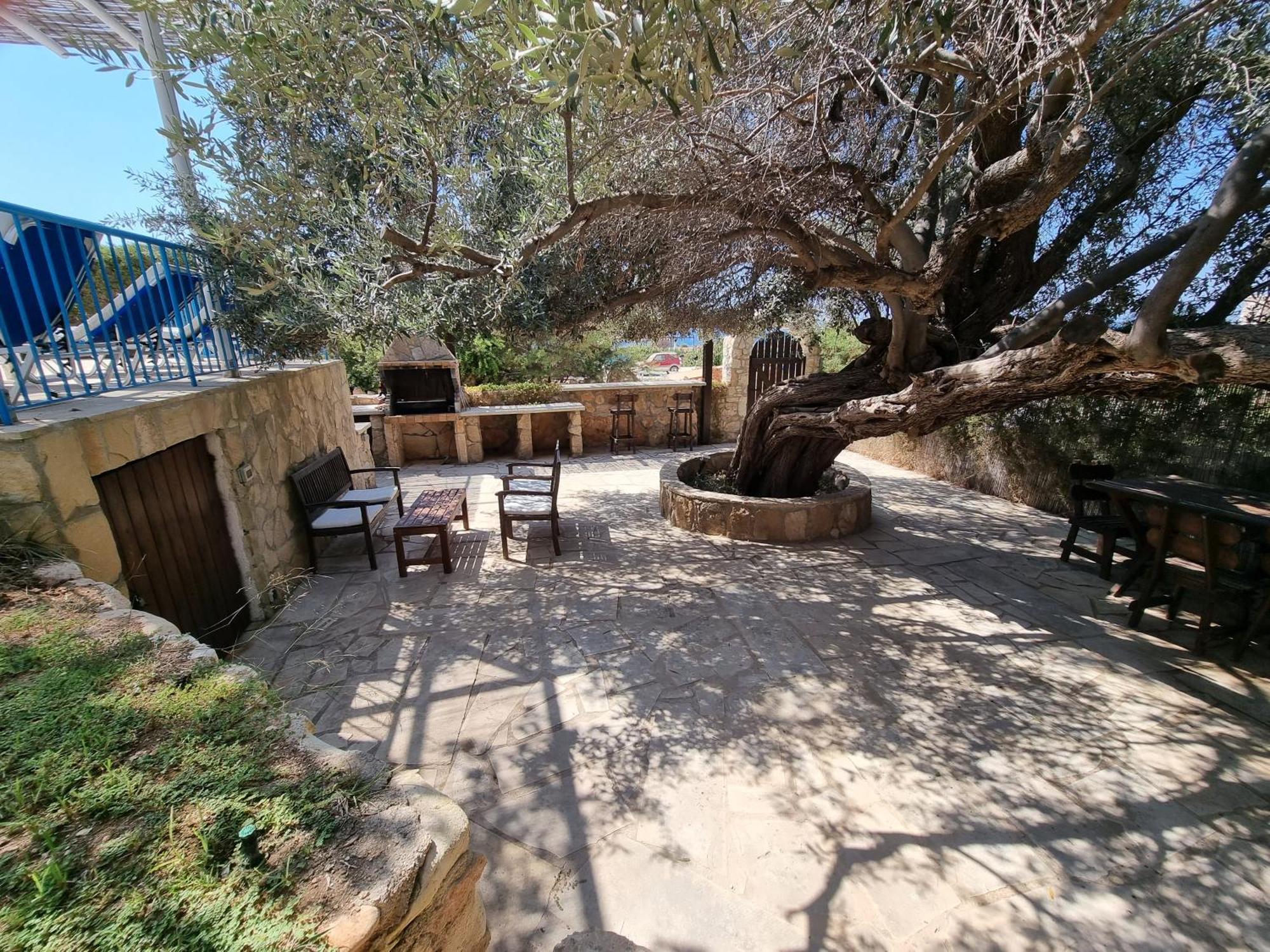 Olive Beach Villa ペイヤ エクステリア 写真